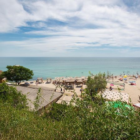 Steller Hostel & Camping Odessa Buitenkant foto